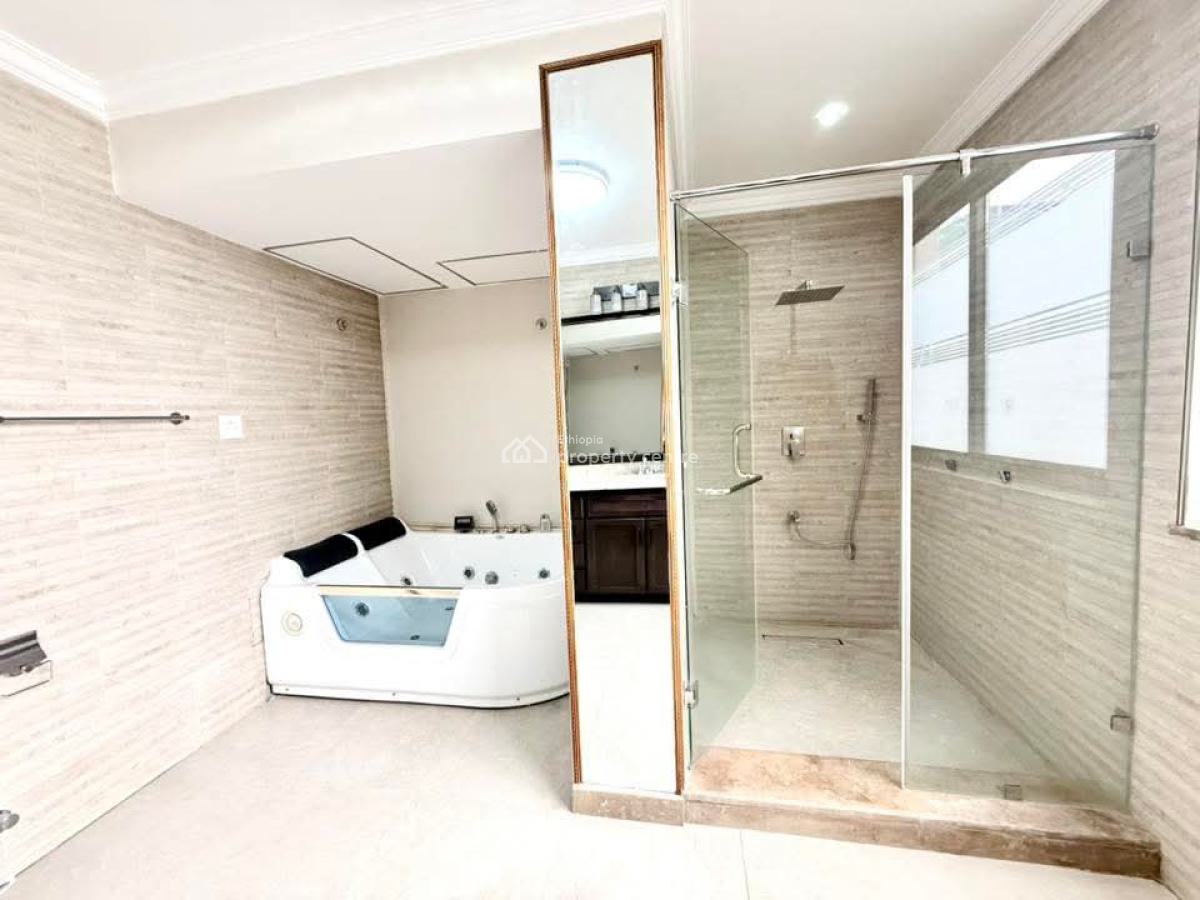 Spacious Furnished Apartment -- Prime Location in Bole, Bole, Addis Ababa, Apartment for Rent