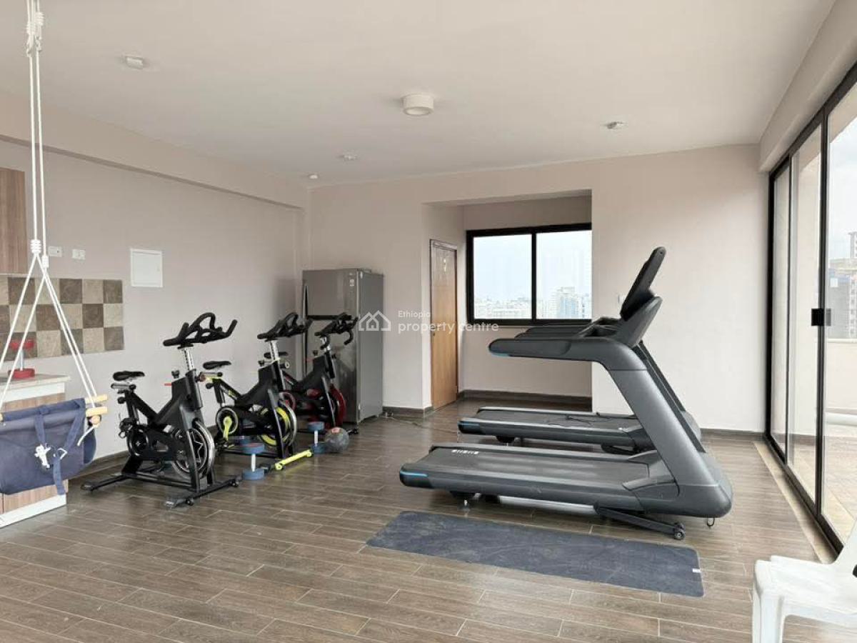 Spacious Furnished Apartment -- Prime Location in Bole, Bole, Addis Ababa, Apartment for Rent