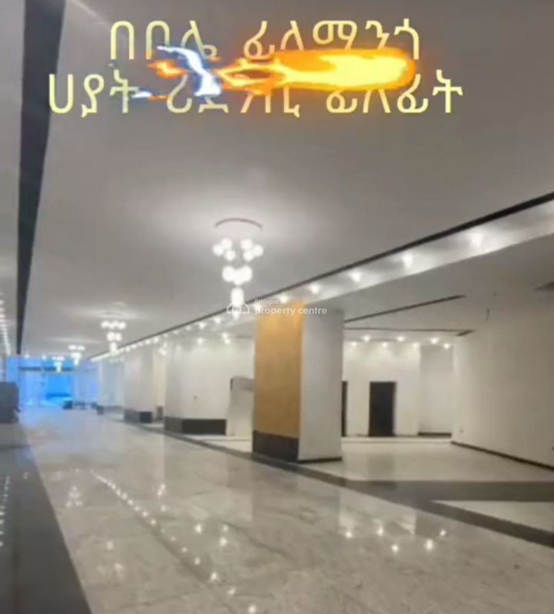 Alemgenet Real Estate ,completed Shops ,ready to Start Working, Bole Dembel,bole Road, Bole, Addis Ababa, Commercial Property for Sale