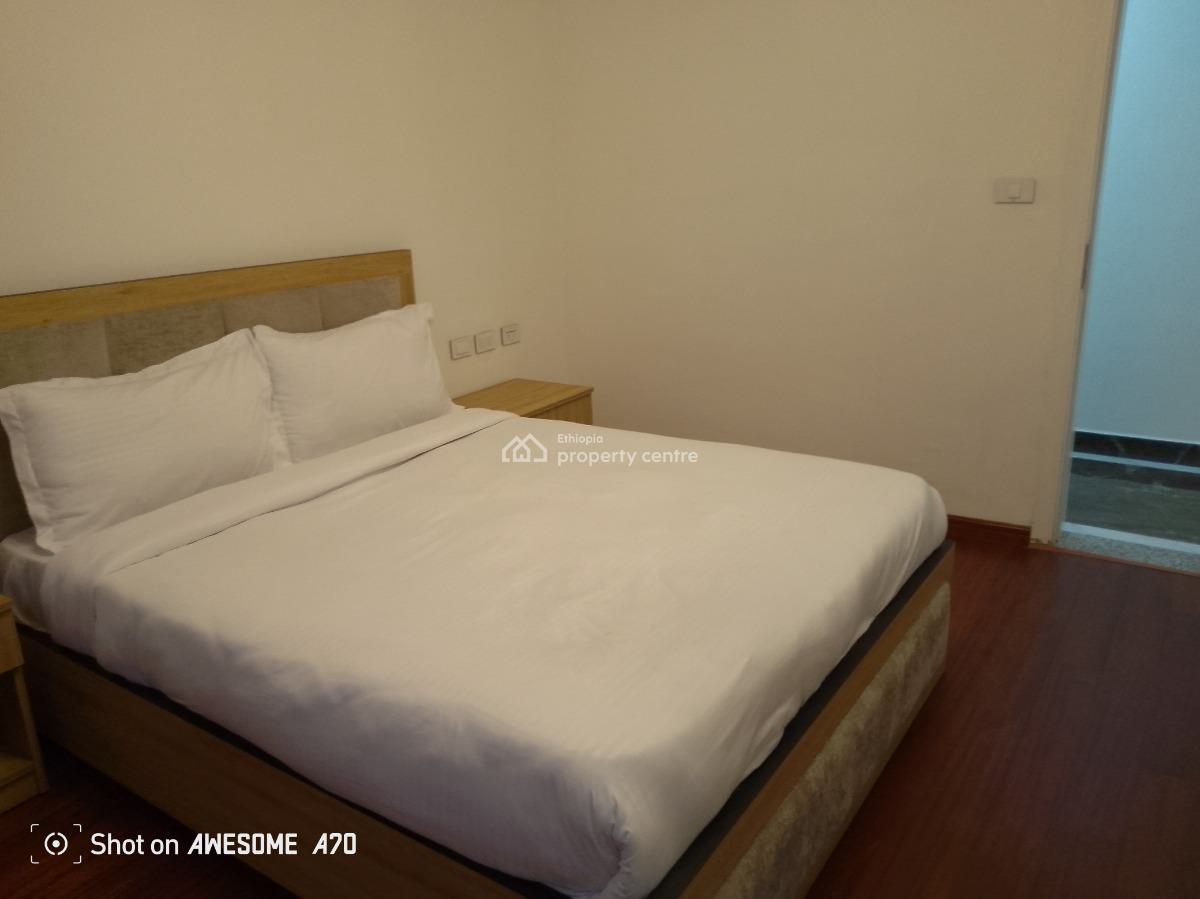 Luxury 3 Bedroom Apartment at Welo Sefer, Welo Sefer,ethio China Street, Bole, Addis Ababa, Apartment for Rent