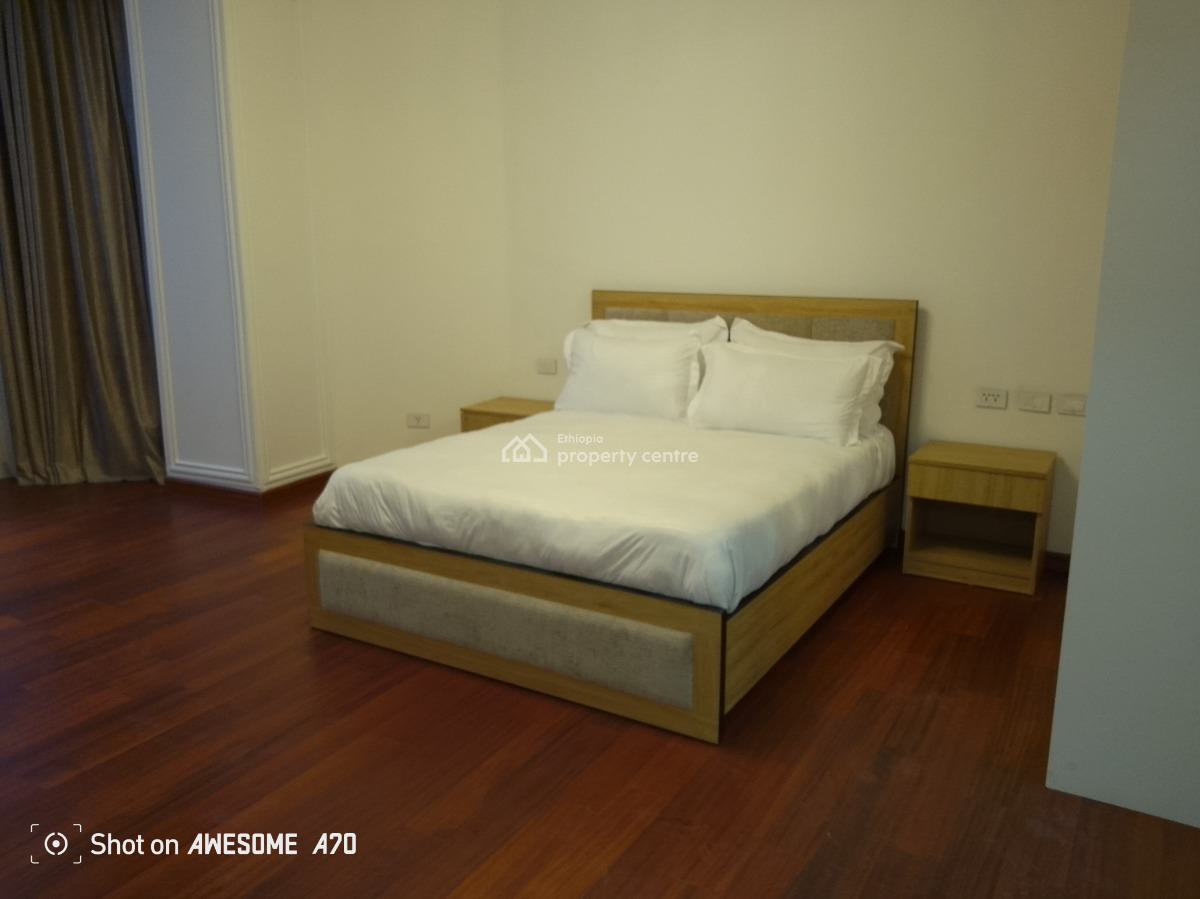 Luxury 3 Bedroom Apartment at Welo Sefer, Welo Sefer,ethio China Street, Bole, Addis Ababa, Apartment for Rent