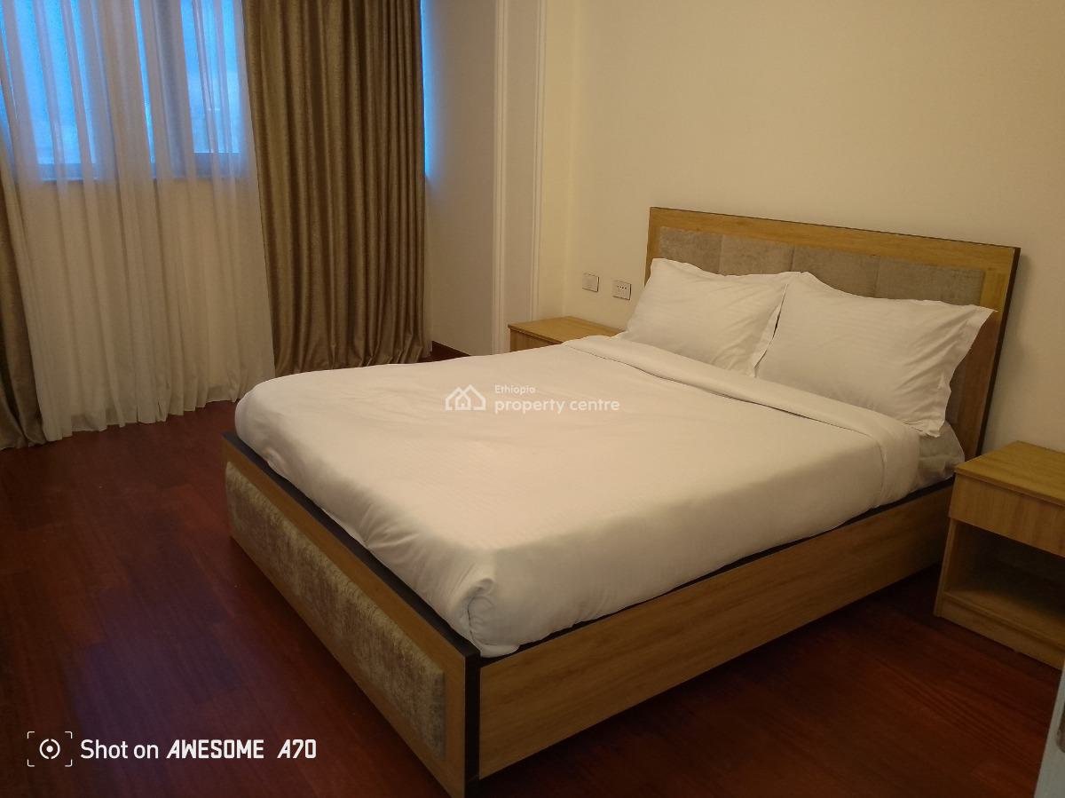 Luxury 3 Bedroom Apartment at Welo Sefer, Welo Sefer,ethio China Street, Bole, Addis Ababa, Apartment for Rent