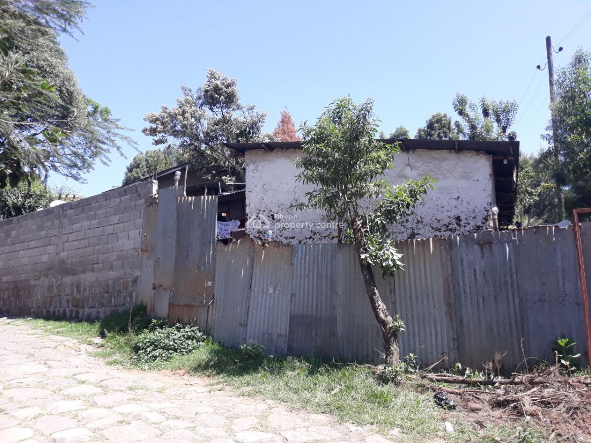 House @ Nigeria Embassy, Chilot Adebabay, Gullele, Addis Ababa, House for Sale