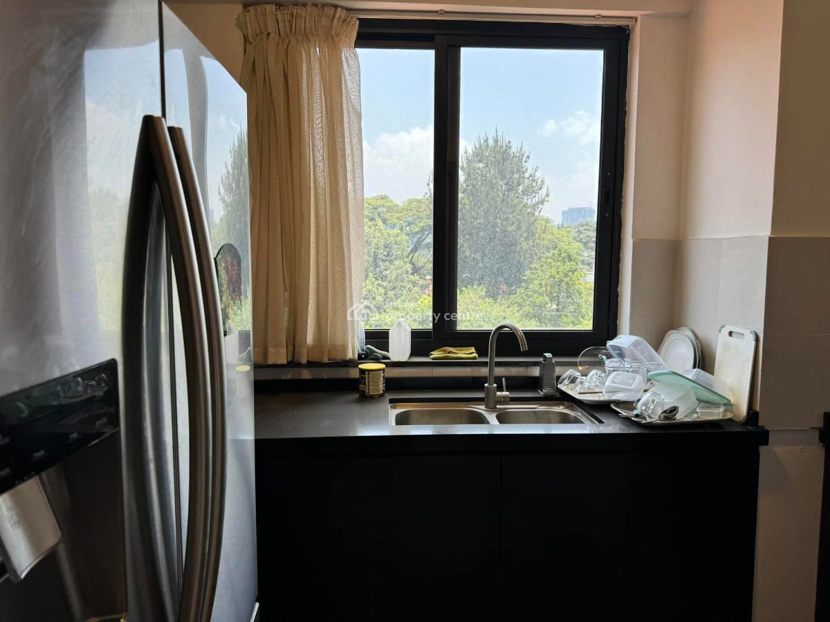 Prestigious, High End (a++) and Luxurious Apartment, Bole, El851., Bole, Addis Ababa, Apartment for Rent