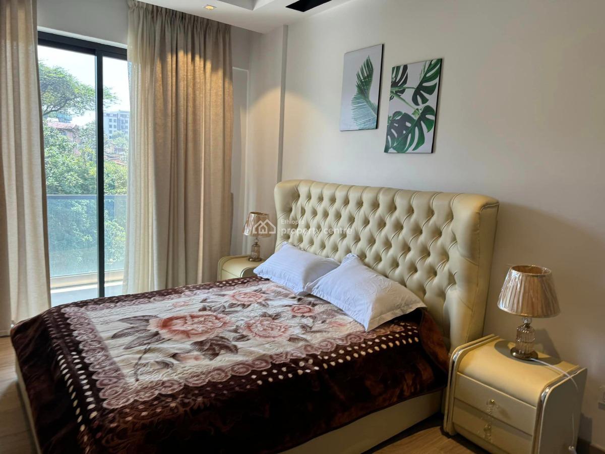 Prestigious, High End (a++) and Luxurious Apartment, Bole, El851., Bole, Addis Ababa, Apartment for Rent