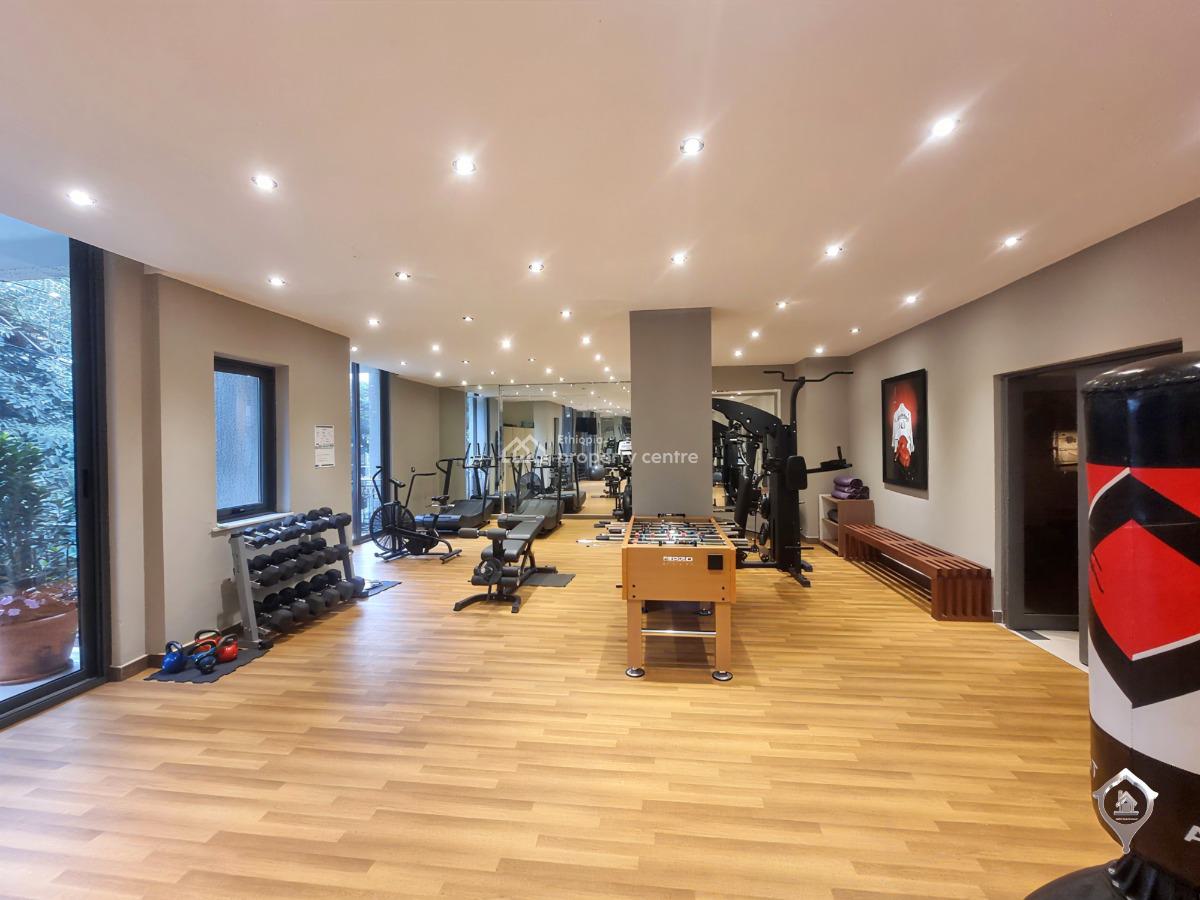 Bright & Elegant  High-end Finishes  Prime Diplomatic Location Bole, Bole, Addis Ababa, Apartment for Rent