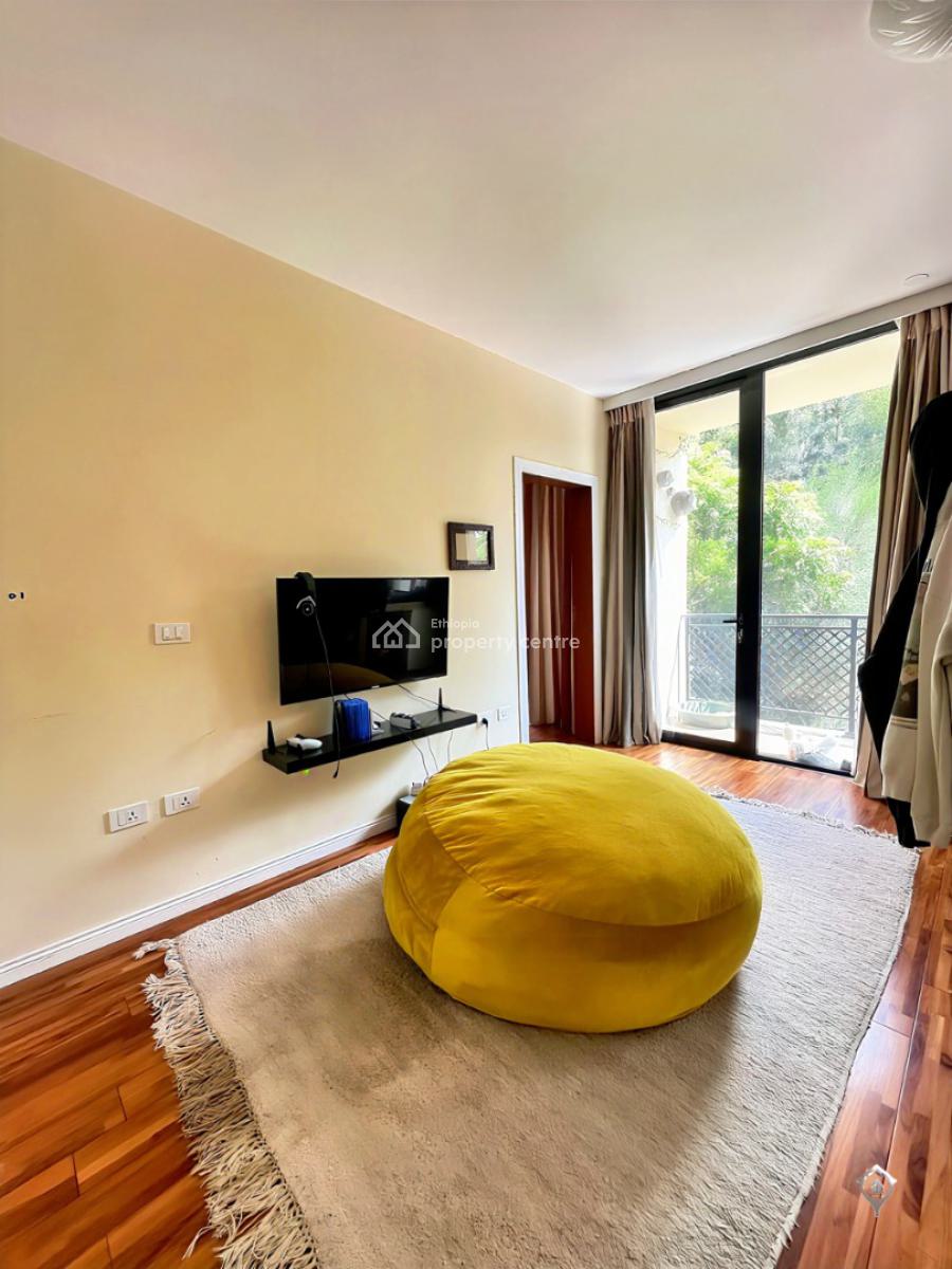 Elegant Furnished Apartment -- Bole, Bole, Addis Ababa, Apartment for Rent