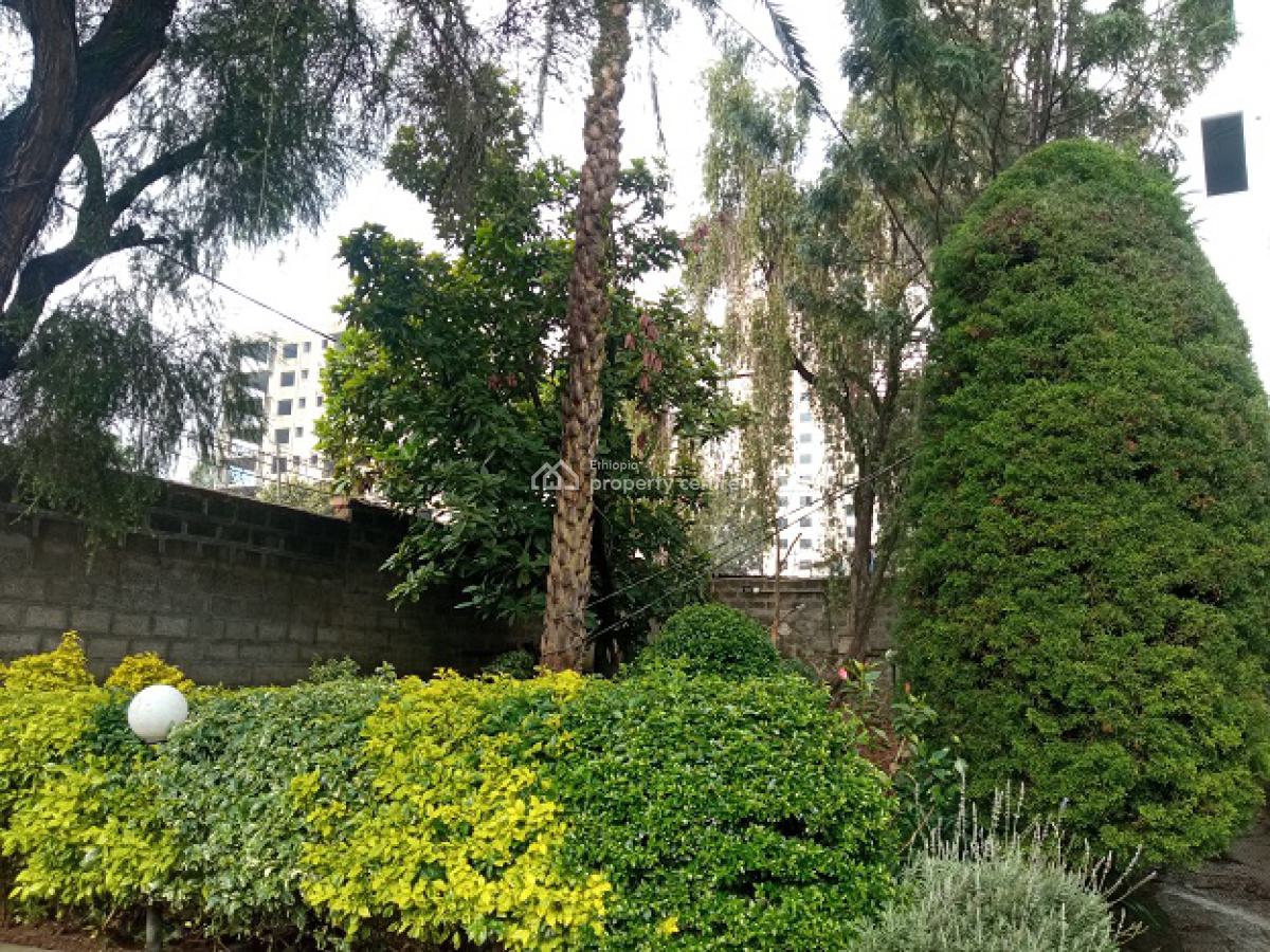 a Beautiful Old House Inscribed in a Big Compound., Nifas Silk-lafto, Addis Ababa, House for Rent