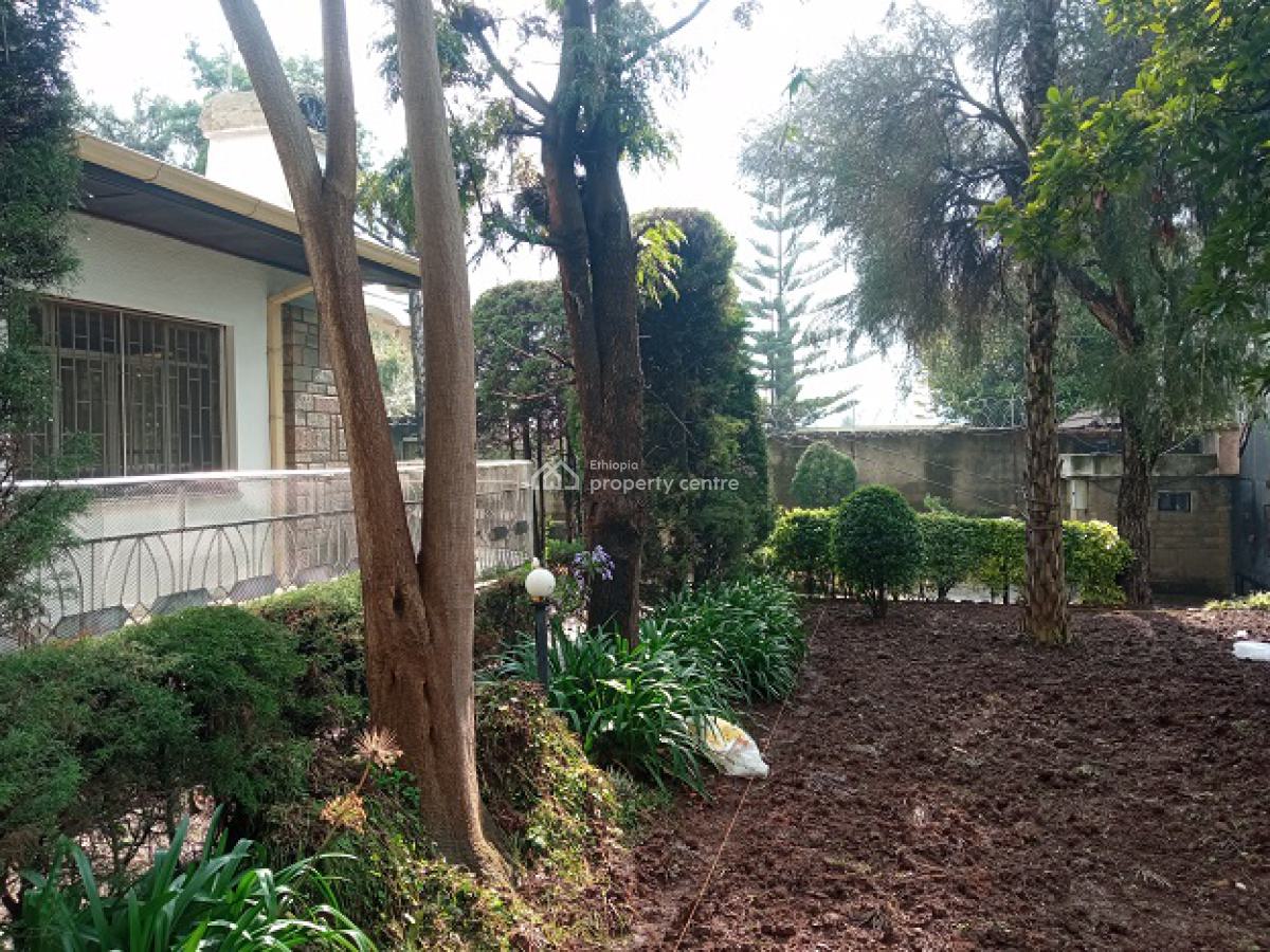 a Beautiful Old House Inscribed in a Big Compound., Nifas Silk-lafto, Addis Ababa, House for Rent