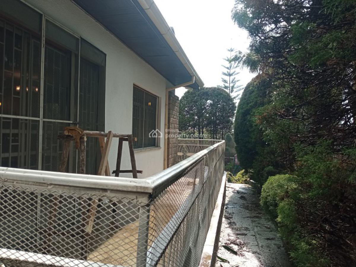 a Beautiful Old House Inscribed in a Big Compound., Nifas Silk-lafto, Addis Ababa, House for Rent
