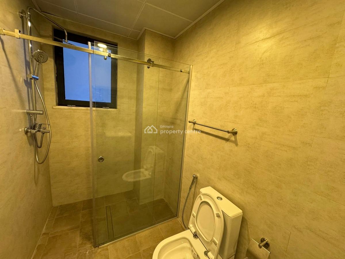 High End 3 Bedroom Furnished Apartment, Bole, Bole, Addis Ababa, Apartment for Rent