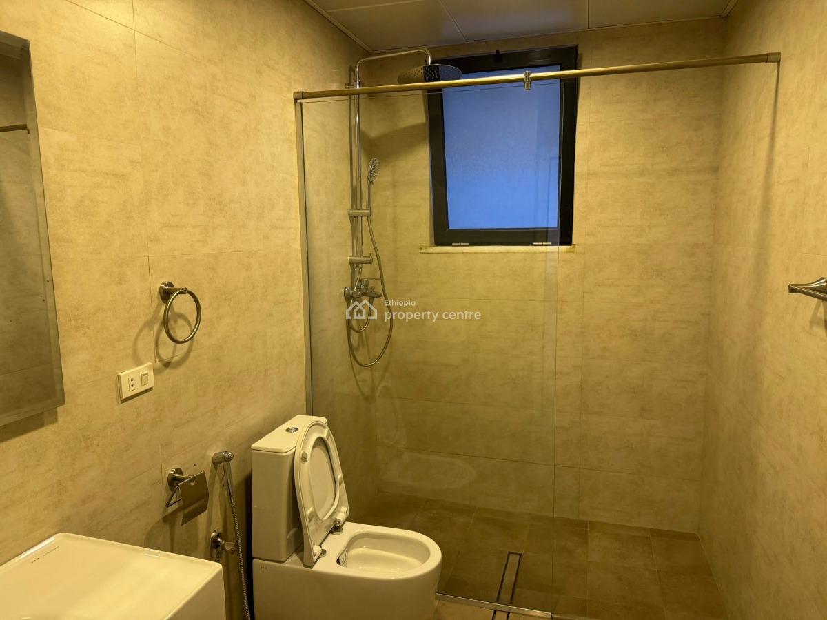 High End 3 Bedroom Furnished Apartment, Bole, Bole, Addis Ababa, Apartment for Rent