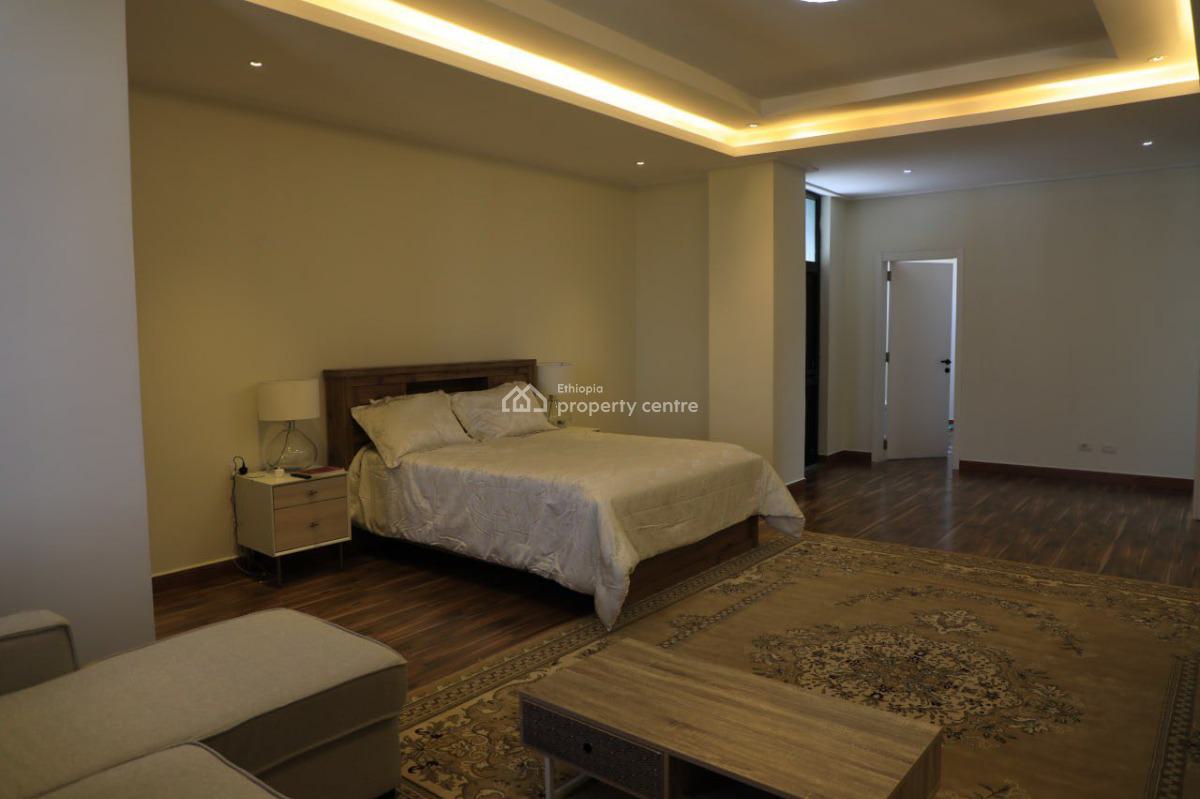 Elegant 3 Bedroom Duplex Penthouse, Bole, Bole, Addis Ababa, Apartment for Rent