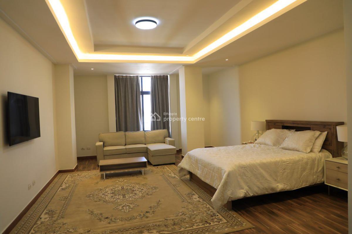 Elegant 3 Bedroom Duplex Penthouse, Bole, Bole, Addis Ababa, Apartment for Rent