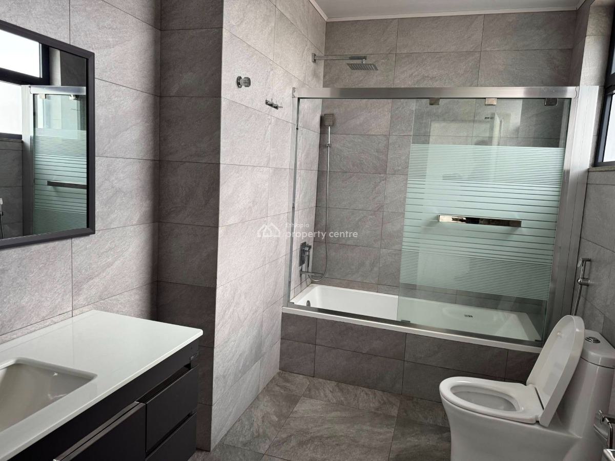 Luxurious 2 Bedroom Apartment, Lideta, Lideta, Addis Ababa, Apartment for Rent