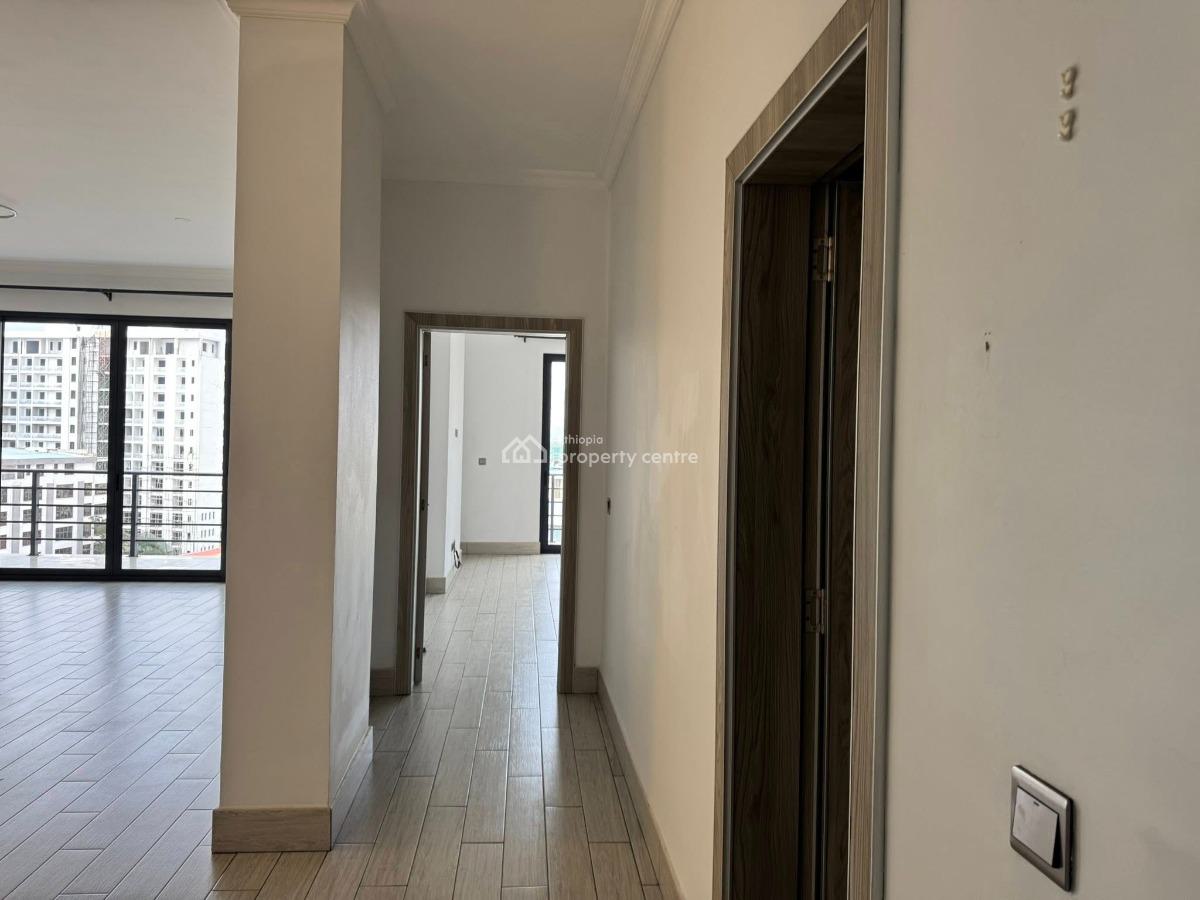 Luxurious 2 Bedroom Apartment, Lideta, Lideta, Addis Ababa, Apartment for Rent