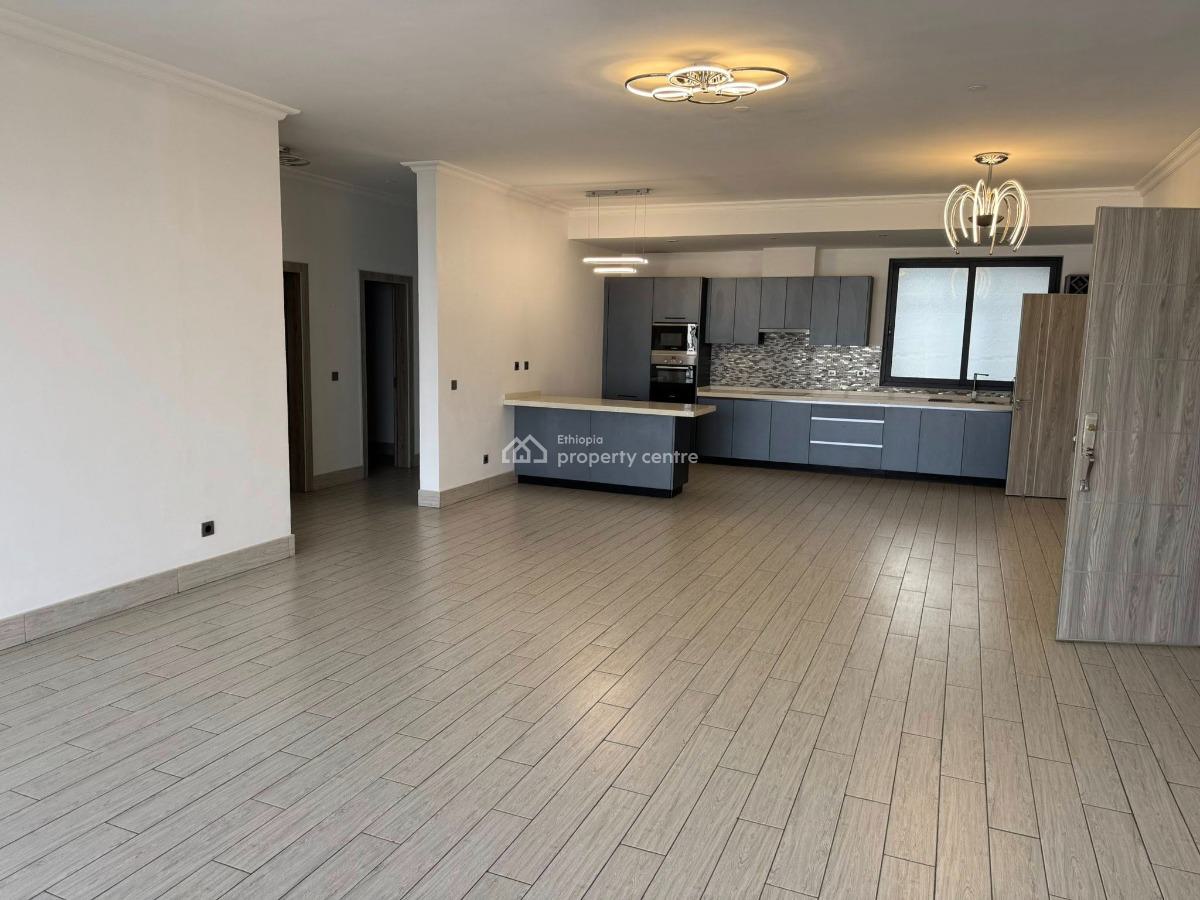 Luxurious 2 Bedroom Apartment, Lideta, Lideta, Addis Ababa, Apartment for Rent