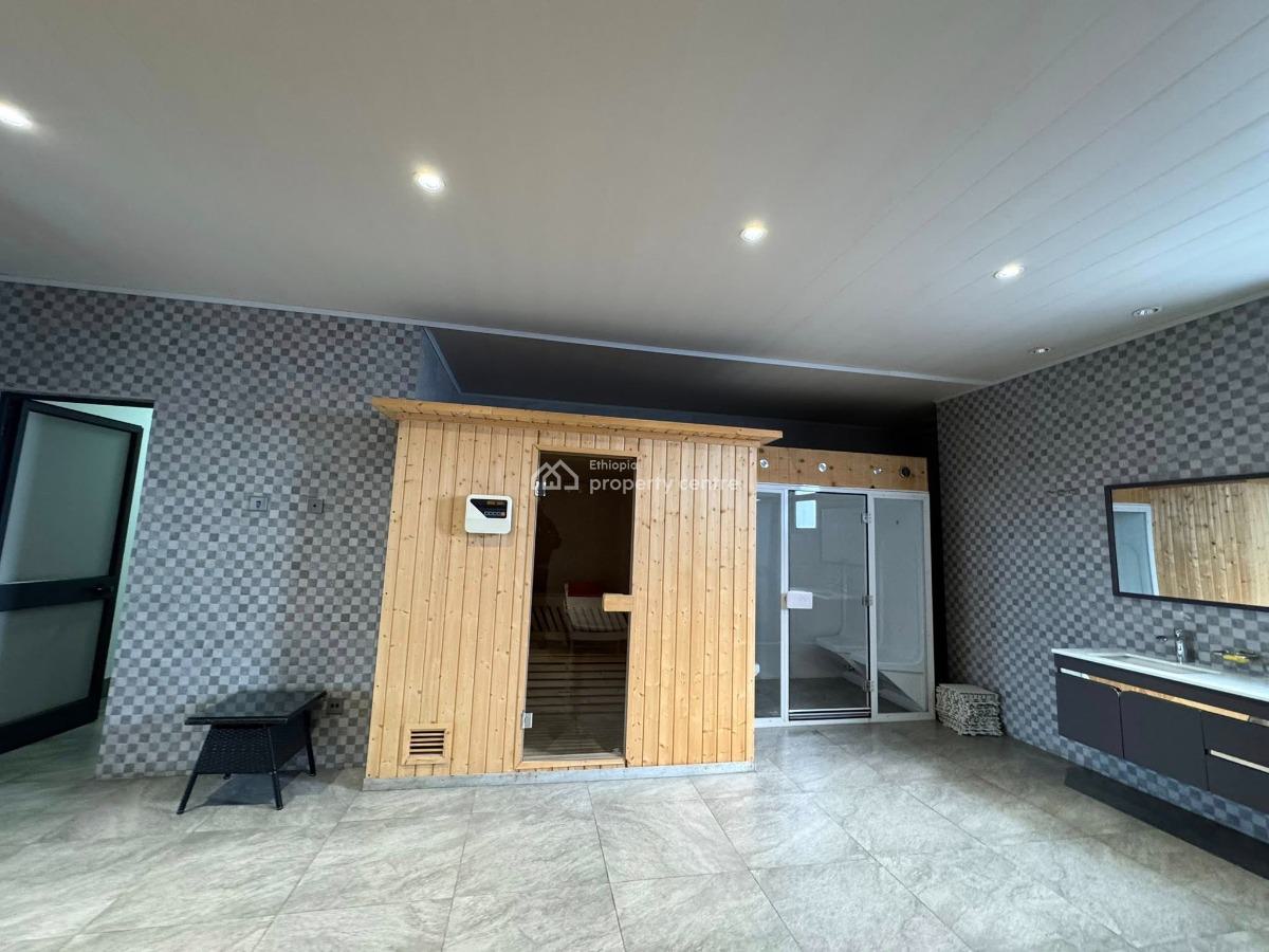 Luxurious 2 Bedroom Apartment, Lideta, Lideta, Addis Ababa, Apartment for Rent