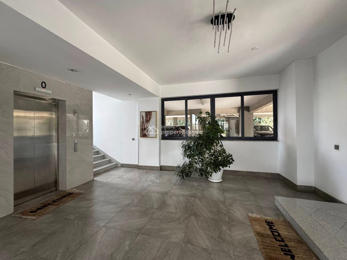 Luxurious 2 Bedroom Apartment, Lideta, Lideta, Addis Ababa, Apartment for Rent