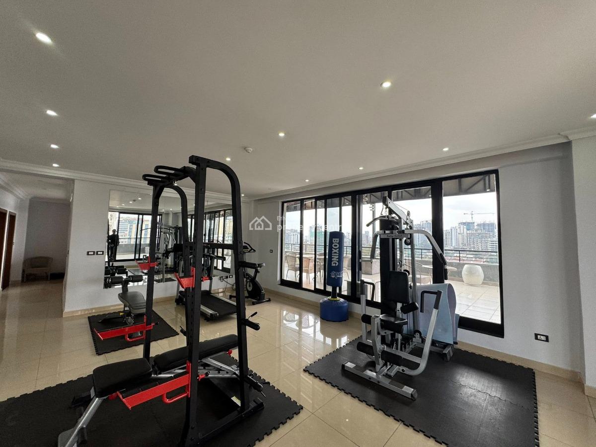 3 Bedroom Penthouse Apartment, Bole, Bole, Addis Ababa, Apartment for Rent