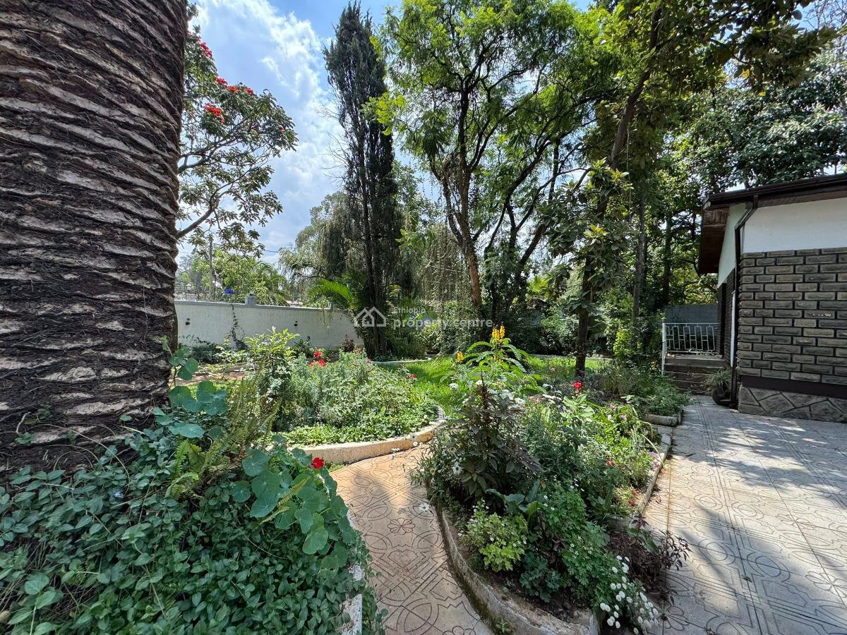 Garden Paradise 3 Bedroom Villa, Lideta, Lideta, Addis Ababa, House for Rent