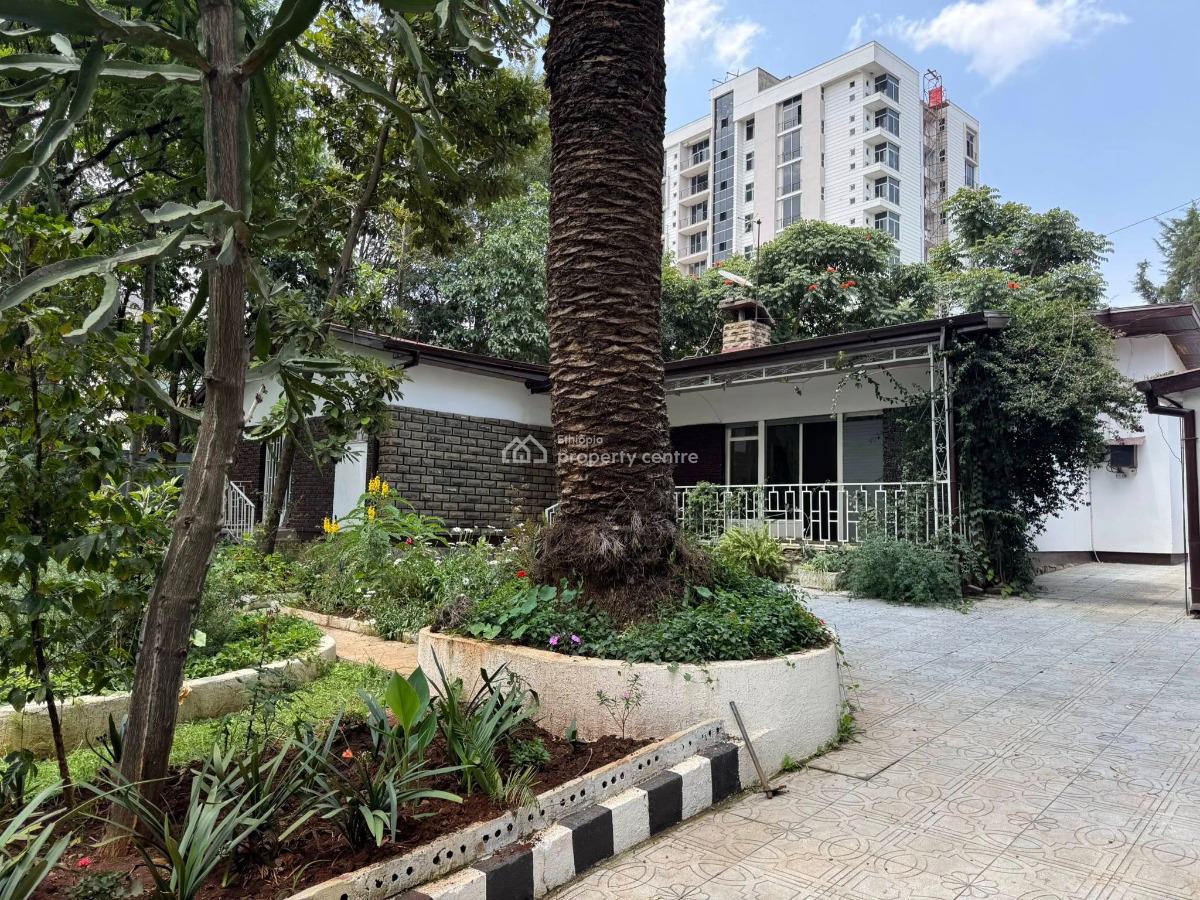 Garden Paradise 3 Bedroom Villa, Lideta, Lideta, Addis Ababa, House for Rent