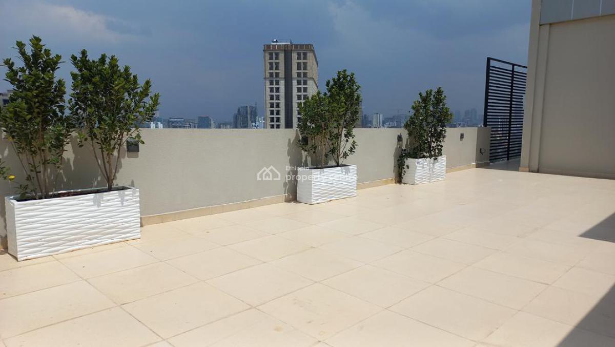 Spacious 3 Bedroom Penthouse, Bole, Bole, Addis Ababa, Apartment for Rent