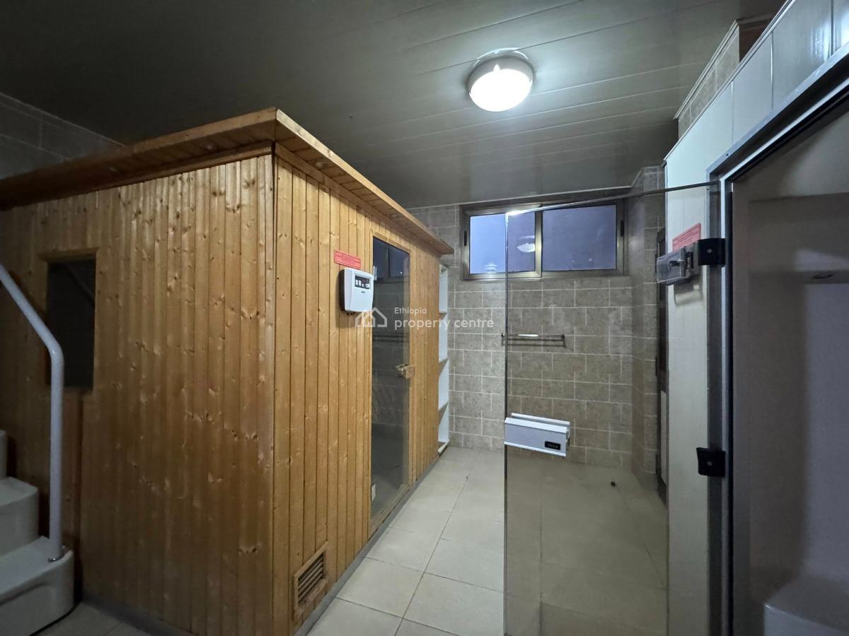 Wooden Floor 3 Bedroom Penthouse, Bole, Bole, Addis Ababa, Apartment for Rent