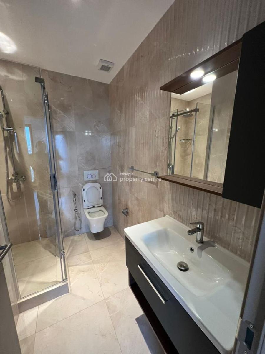 One of a Kind 3 Bedroom Apartment, Bole, Bole, Addis Ababa, Apartment for Rent