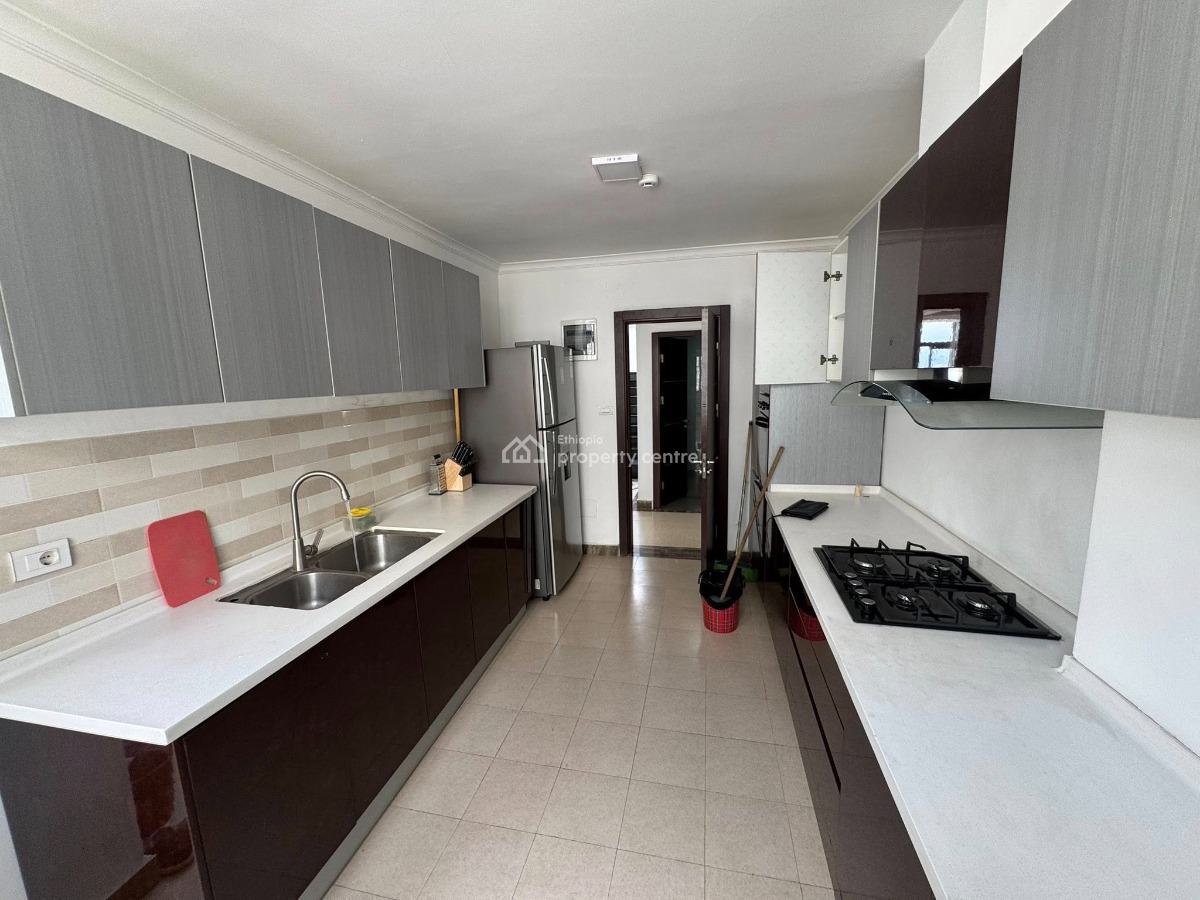 500sqm 3 Bedroom Penthouse, Bole, Bole, Addis Ababa, Apartment for Sale