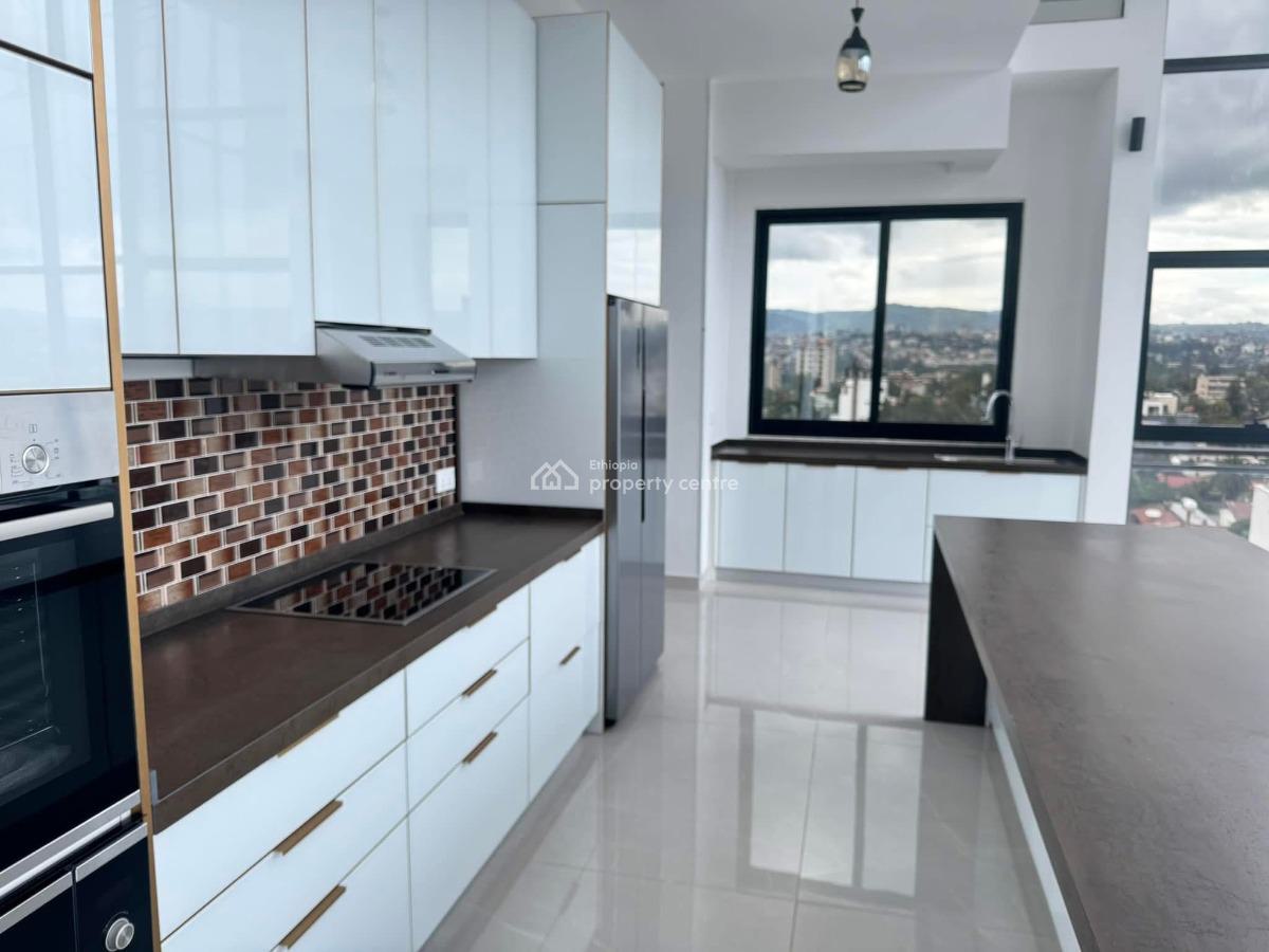 Grandeur 4 Bedroom Penthouse, Lideta, Lideta, Addis Ababa, Apartment for Sale
