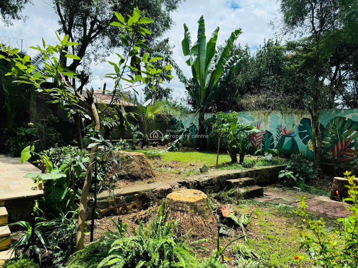 a Head Turner 3 Bedroom Family Home, Lideta, Lideta, Addis Ababa, House for Rent