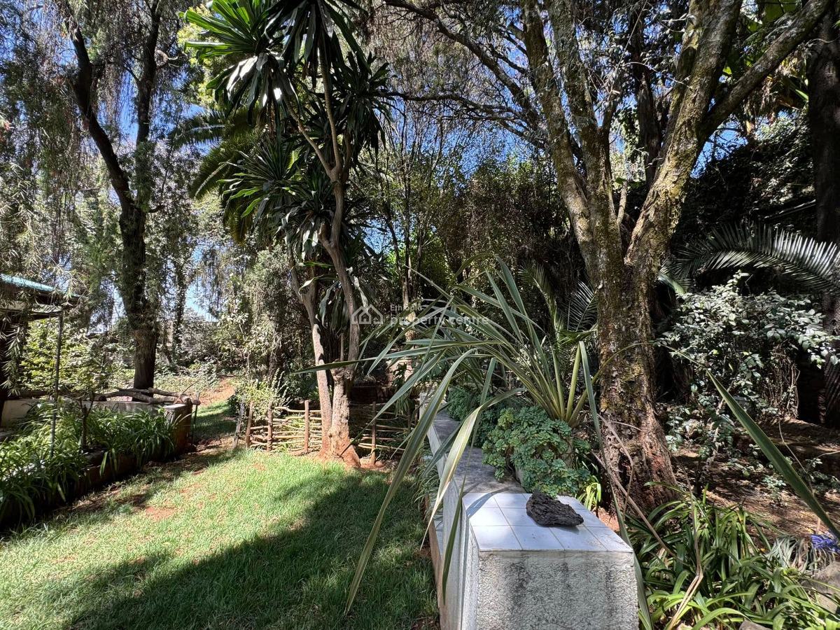 Sunswept 3 Bedroom Villa, Yeka, Yeka, Addis Ababa, House for Rent