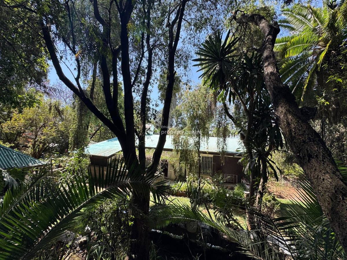 Sunswept 3 Bedroom Villa, Yeka, Yeka, Addis Ababa, House for Rent
