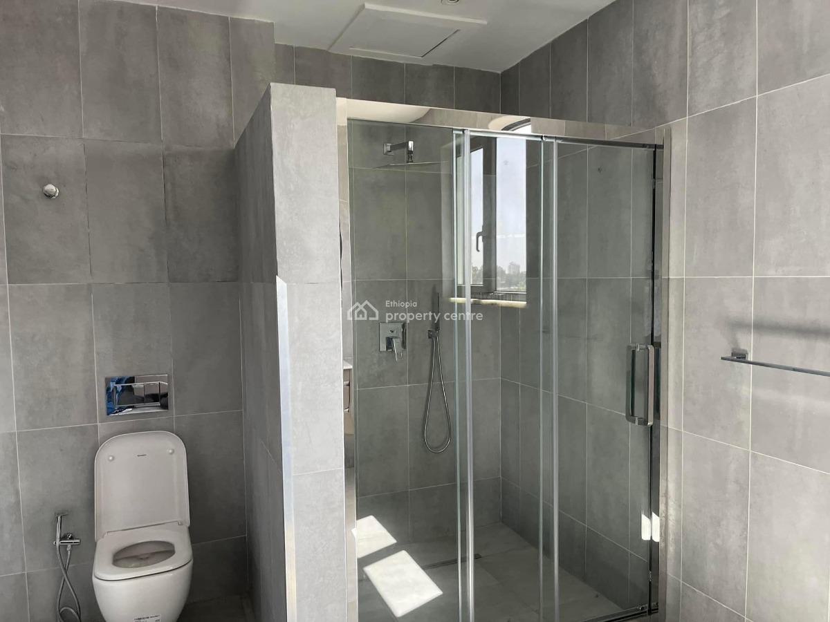 High End 3 Bedroom Apartment, Kirkos, Kirkos, Addis Ababa, Apartment for Rent