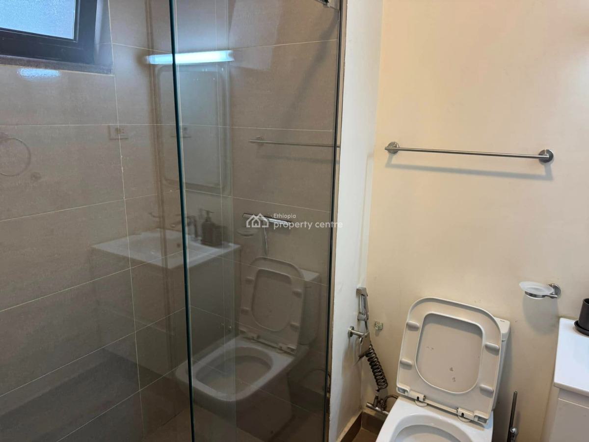 Luxury 2 Bedroom Apartment, Kirkos, Kirkos, Addis Ababa, Apartment for Rent