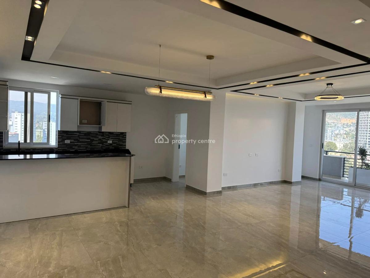 3 Bedroom Senior Living, Kazanchis, Kazanchis, Addis Ababa, Apartment for Rent