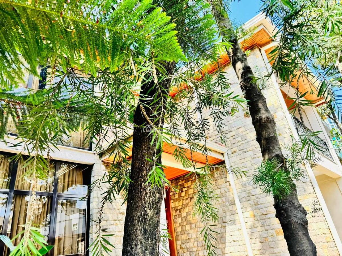 Charming 4 Bedroom Villa, Bole, Bole, Addis Ababa, House for Rent