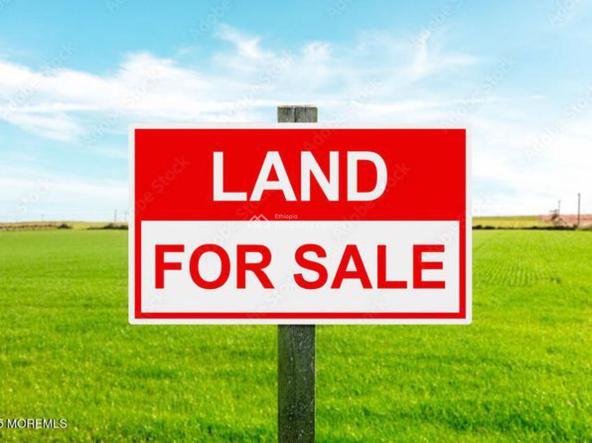 Land @ Megenagna Main Road, Megenagna, Bole, Addis Ababa, Land for Sale