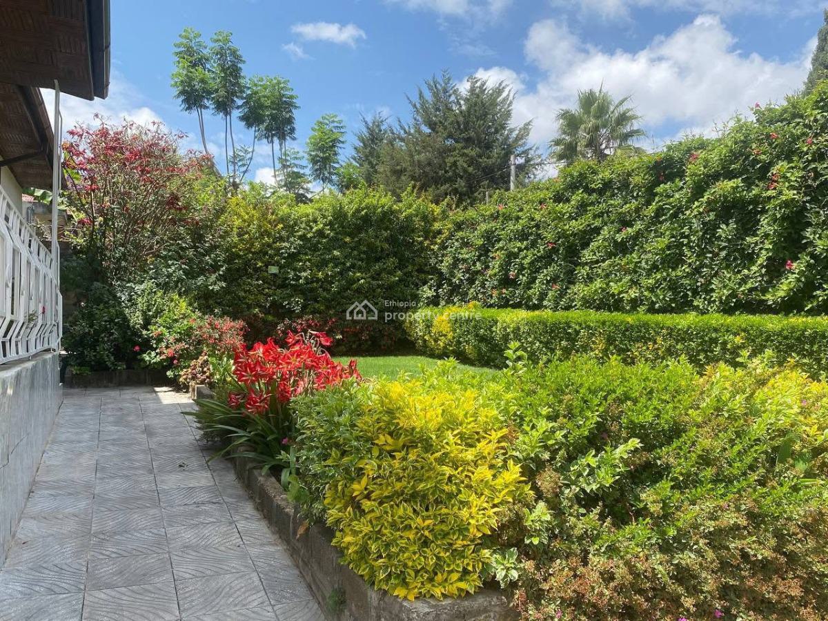 Spacious Garden 3 Bedroom Villa, Bole, Bole, Addis Ababa, Apartment for Rent