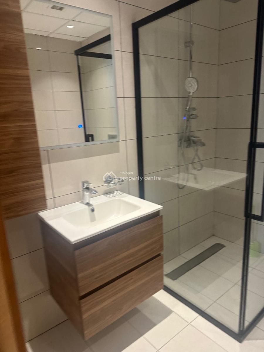Luxury 5 Bedroom Apartment with 4 Bathroom, Sarbet, Lideta, Addis Ababa, Apartment for Rent