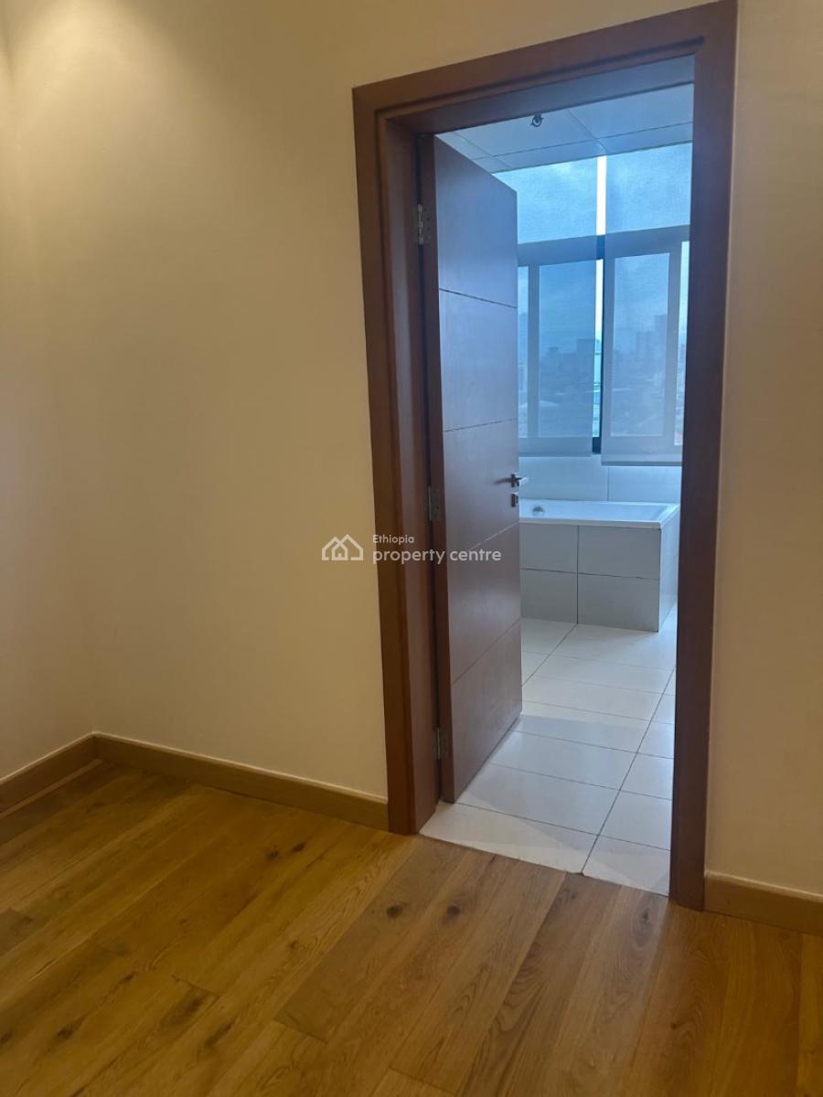 Luxury 5 Bedroom Apartment with 4 Bathroom, Sarbet, Lideta, Addis Ababa, Apartment for Rent