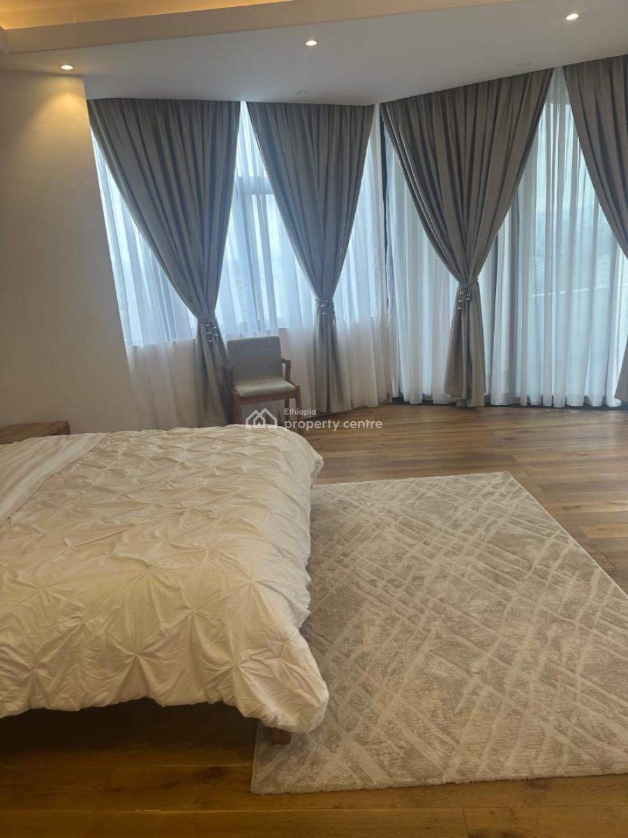 Luxury 5 Bedroom Apartment with 4 Bathroom, Sarbet, Lideta, Addis Ababa, Apartment for Rent
