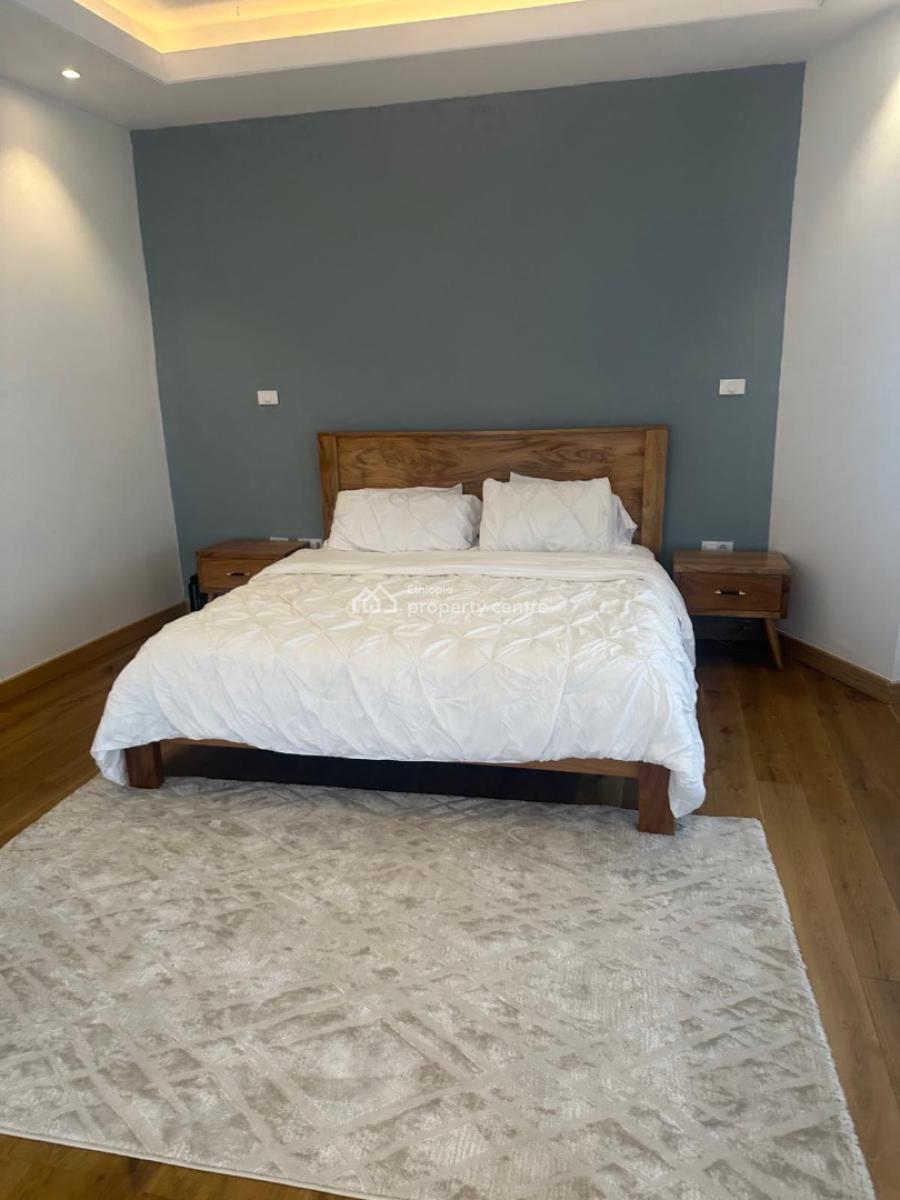 Luxury 5 Bedroom Apartment with 4 Bathroom, Sarbet, Lideta, Addis Ababa, Apartment for Rent