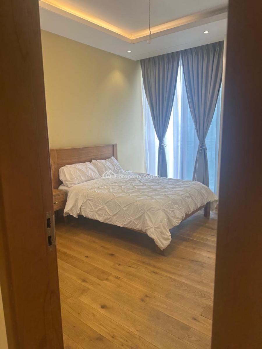 Luxury 5 Bedroom Apartment with 4 Bathroom, Sarbet, Lideta, Addis Ababa, Apartment for Rent