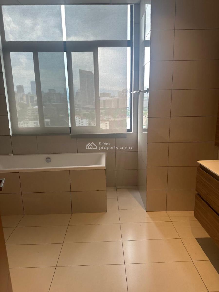 Luxury 5 Bedroom Apartment with 4 Bathroom, Sarbet, Lideta, Addis Ababa, Apartment for Rent