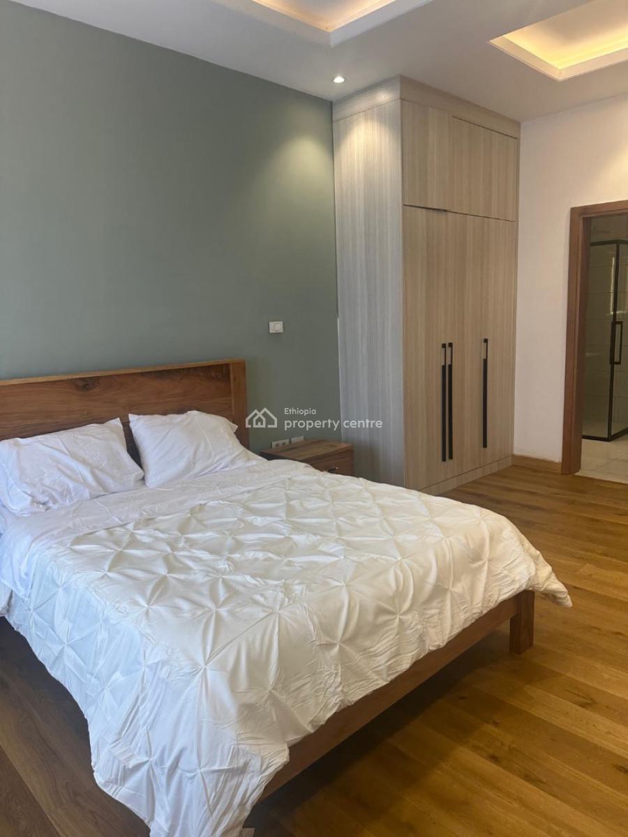 Luxury 5 Bedroom Apartment with 4 Bathroom, Sarbet, Lideta, Addis Ababa, Apartment for Rent