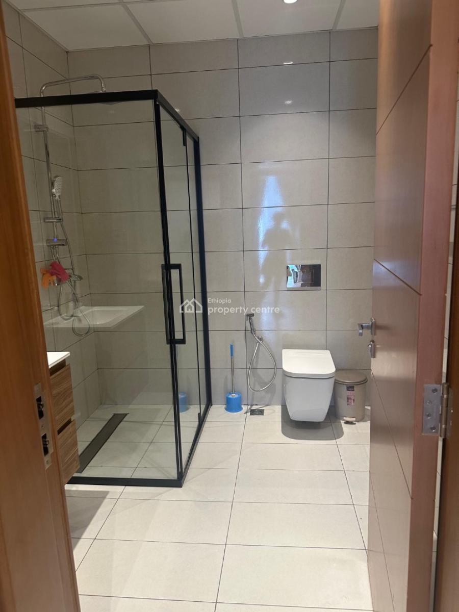 Luxury 5 Bedroom Apartment with 4 Bathroom, Sarbet, Lideta, Addis Ababa, Apartment for Rent