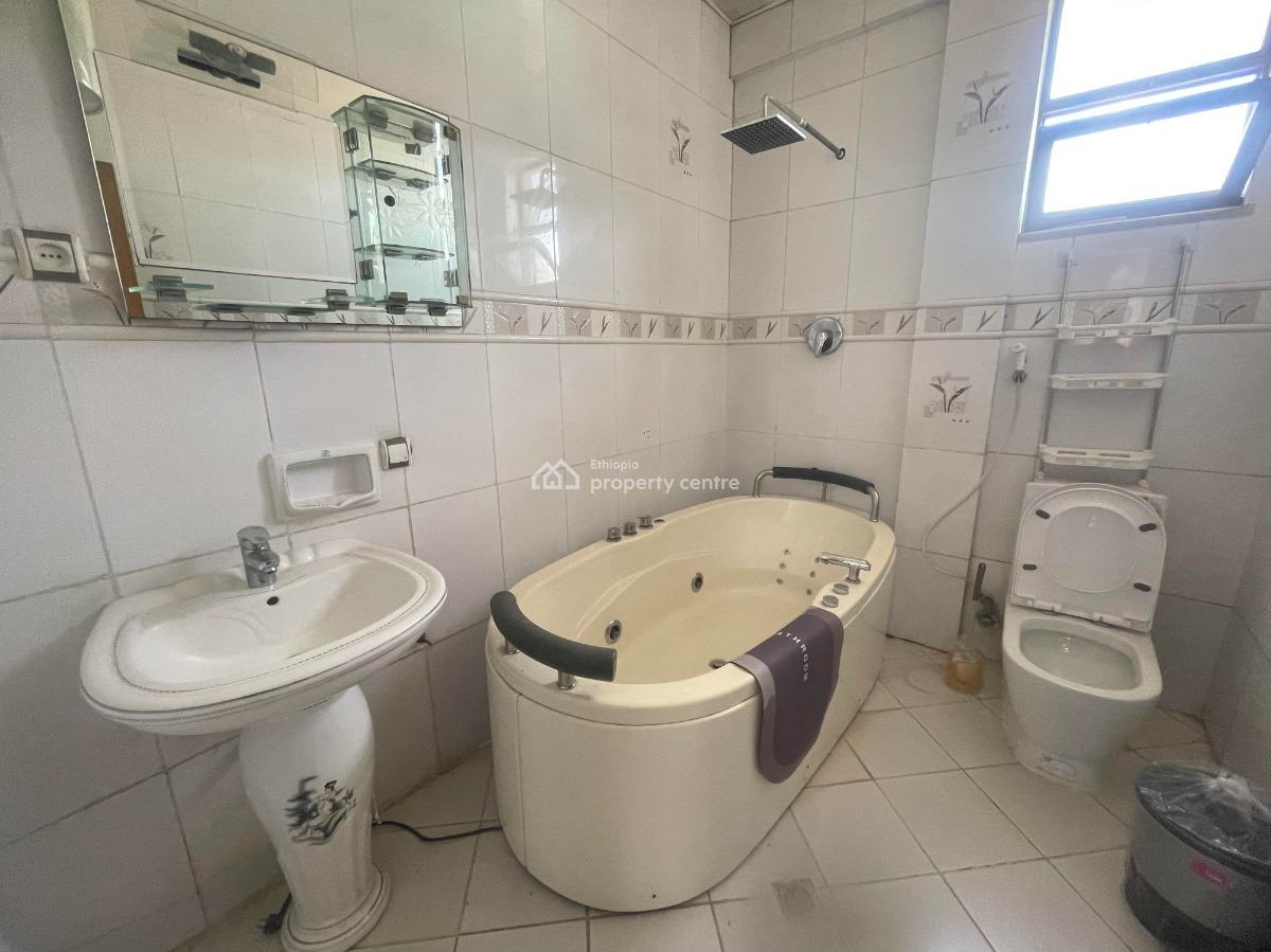 Fully Furnished Duplex Appartment, Bole Road, Bole, Addis Ababa, Apartment for Rent