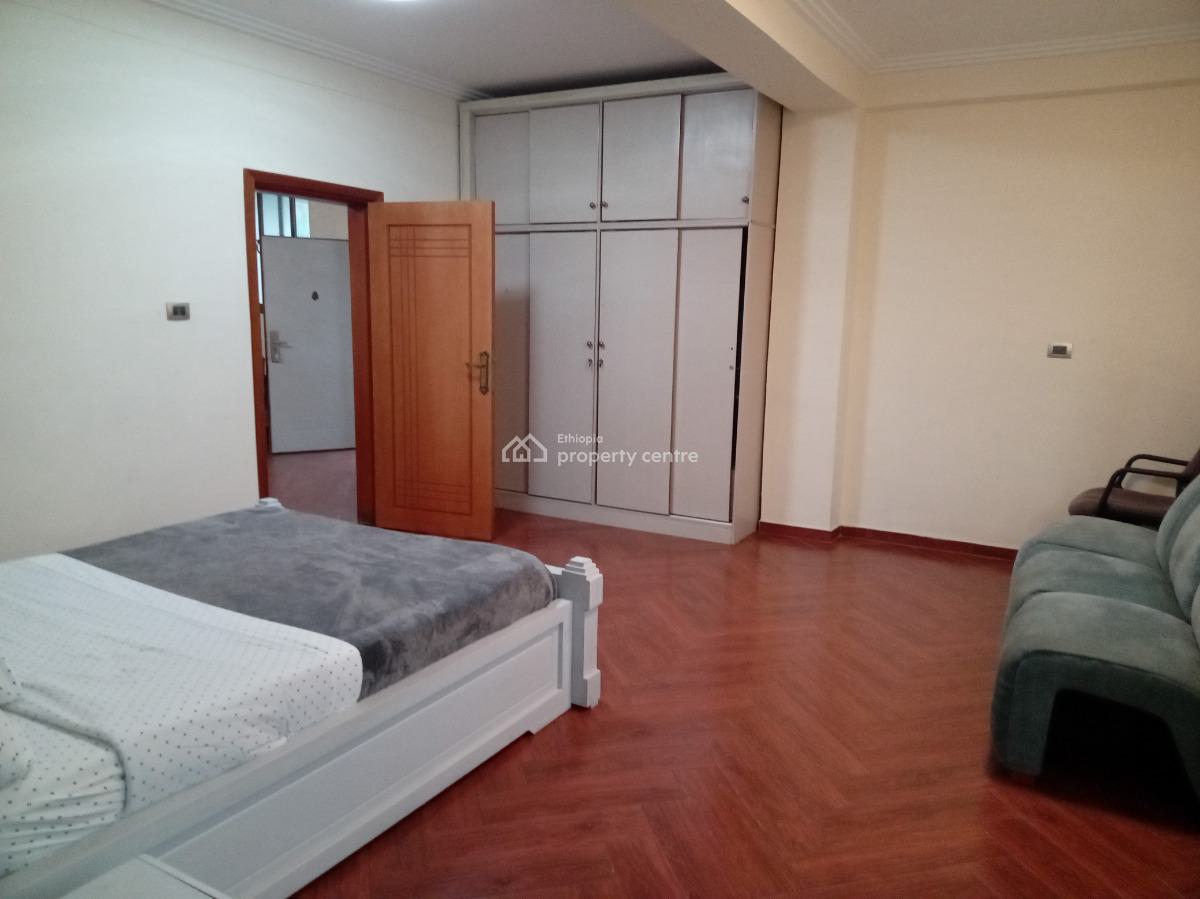 Sarbet 1 Bedroom Furnished Apartment ,near Abo and Mekanisa, Lideta, Addis Ababa, Apartment for Rent